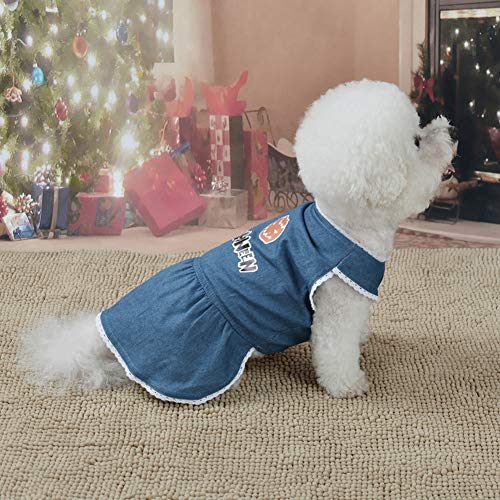 Blauer Baumwoll-Kürbis-Druck, Schönes Kostüm, Haustier-Halloween-Kleider, Rock, Kleidung, Kleidung für Hunde und Katzen (S) von OUCRIY