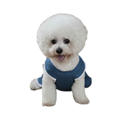 Blauer Baumwoll-Kürbis-Druck, Schönes Kostüm, Haustier-Halloween-Kleider, Rock, Kleidung, Kleidung für Hunde und Katzen (XL) von OUCRIY