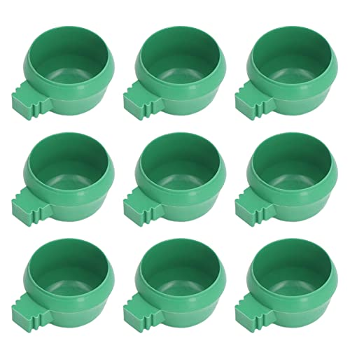Mini-Wassernapf für Vögel, Papageien, Futter- und Wassernapf, Kunststoff, Einlage, rund, grüne Papageien, kleine Futter-Wassernapf für Bauernhöfe, Zuhause, Größe S, 15,2 x 8,8 x 3,1 cm, 25 Stück Mini-Wassernapf für Vögel, Papageien, Futter- und Wassernapf, Kunststoff, Einlage, rund, grüne Papageien, kleine Futter-Wassernapf für Bauernhöfe, Zuhause, Größe S, 15,2 x 8,8 x 3,1 cm, 25 Stück von OUCRIY