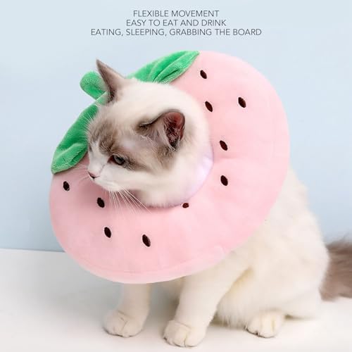 OUCRIY Katzenhalsband Stofftier Erdbeerform Hund und Katze Halsband Katzenhalsband Kegelform Katze Weiche Erdbeere Kratzschutz Kratzschutz Niedliche Dekoration Halsband für OUCRIY Katzenhalsband Stofftier Erdbeerform Hund und Katze Halsband Katzenhalsband Kegelform Katze Weiche Erdbeere Kratzschutz Kratzschutz Niedliche Dekoration Halsband für von OUCRIY
