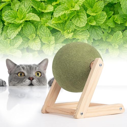 Kratzball für Katzen,Katzenminze Ball Katze Interaktives Katzenspielzeug,Spielzeug mit Katzenminze mit Ständer,Essbares Kätzchen-Leck- und Kauspielzeug,Drehbarer Catnip Ball Bodenständer (Small) von OUGPIU