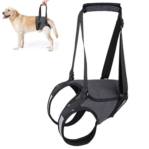 Tragehilfe Hund Tragbares Hundegeschirr für die Hinterbeine,Verstellbares Hunde Aufzugsgeschirr Tragegeschirr Hundeschlinge für ältere Behinderte Hunde & jene mit Mobilitätsproblemen (L) von OUGPIU