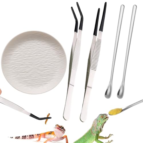 Ouliget Reptilien-Futterwerkzeug-Set, Gummispitze, gerade, gebogene Fütterungszange, Pinzette, Reptilien-Futterlöffel, kleine Reptilienfutter, Kunststoff-Schüssel für Geckos, Eidechsen, Bartagamen Ouliget Reptilien-Futterwerkzeug-Set, Gummispitze, gerade, gebogene Fütterungszange, Pinzette, Reptilien-Futterlöffel, kleine Reptilienfutter, Kunststoff-Schüssel für Geckos, Eidechsen, Bartagamen von OULIGET