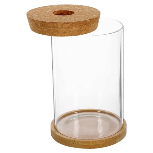 OUNONA 1 Satz Terrarium Flasche mit DIY Mikro Landschafts Flasche für Pflanzen Garten und Büro Dekorative mit Charme OUNONA 1 Satz Terrarium Flasche mit DIY Mikro Landschafts Flasche für Pflanzen Garten und Büro Dekorative mit Charme von OUNONA