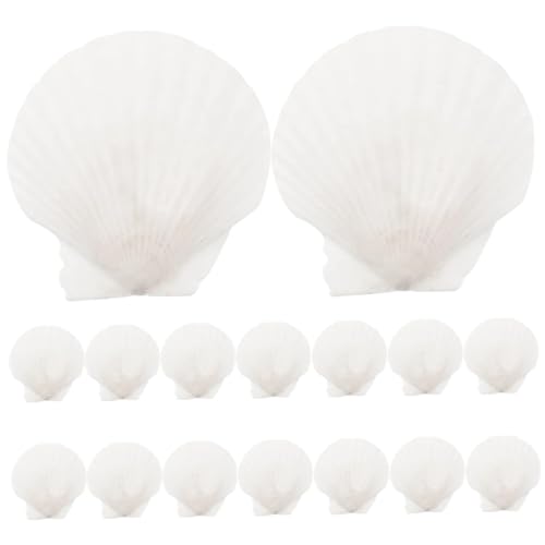 OUNONA 16stücke Jakobsmuschel Basteln Natürliche Muscheln Für Aquarien-Dekoration Handwerk Zubehör Für Blumen Und Kranzarrangements Strandparty-Dekorationen Und Garten-Dekoration von OUNONA