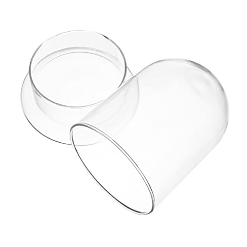 OUNONA 1Stück Ökologische Flasche für Terrarien Dekorative Mikrosandlandschaft Flasche ohne Stilvolle Hausdekoration für Pflanzenliebhaber und Kreative OUNONA 1Stück Ökologische Flasche für Terrarien Dekorative Mikrosandlandschaft Flasche ohne Stilvolle Hausdekoration für Pflanzenliebhaber und Kreative von OUNONA