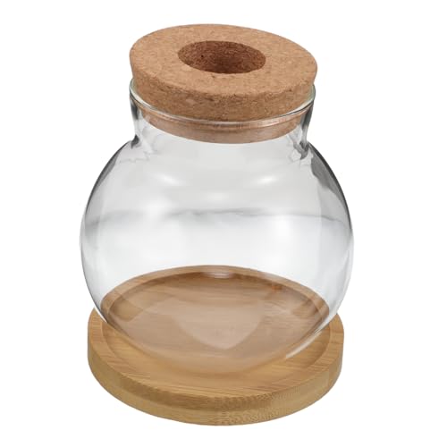 OUNONA 2 Sätze Hydro Ponische Pflanzen Flasche Terrarienschale Kleine Klare Vase Vermehrungsgefäße Terrarienbehälter Aus Glas Glasterrarium Mit Deckel Glas Terrarium Bowl Transparent Kork von OUNONA
