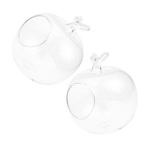 OUNONA 2 Stück Hydroponische Vase Terrariumpflanze Hydrokultur-ökosystemflasche Mikro-landschafts-öko-Flasche Tischterrarium Mikro-landschaftsflasche Pflanzterrarien Transparent Glas von OUNONA