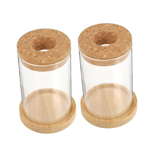 OUNONA 2 Stück Öko-Flasche aus Glas Gartendekor klare Vase Pflanze Terrarium Glas Heimdekoration Glaswaren Links Pflanzgefäß-Terrarium Terrariumdekor hölzern Transparent von OUNONA