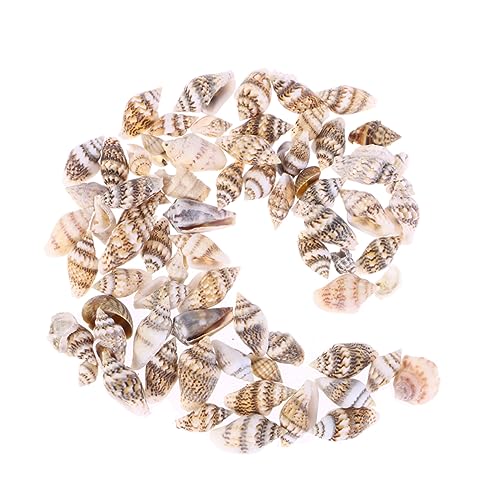 OUNONA 500 Stück Natürliche Muscheln für Heimdekoration und Aquarien Vielfältige Meeresmuschel Dekoration für Bastelprojekte und Strandpartys von OUNONA
