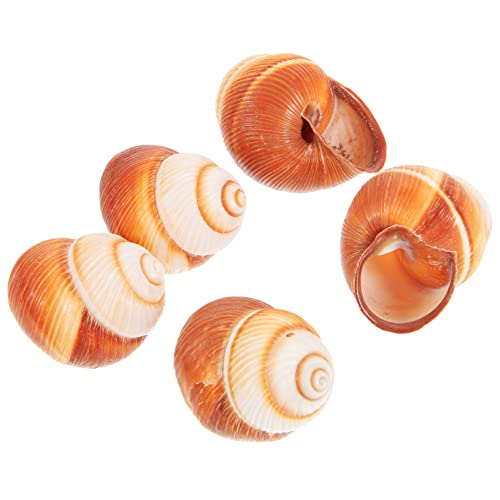 OUNONA 5stücke Teiliges Schneckenschalen Zum Backen Natürliche Essbare Schneckenhäuser Für Französisches Kochen Dekorative Und Sichere Schneckenhäuser Für Restaurant Und Zuhause von OUNONA