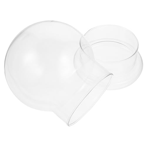 OUNONA Ökologische Glasflasche mit Transparentem Design Dekorativer Mikro Landschaft DIY Moos Terrarium für Wohnzimmer Schlafzimmer Büro Stilvolles Home Ornament von OUNONA