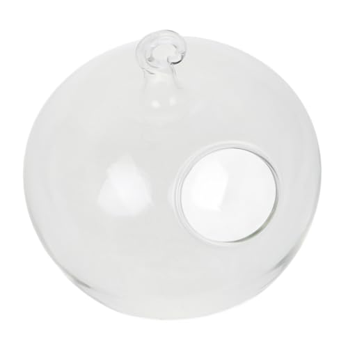OUNONA Ornament Display Stand Sukkulenten-Terrarium-Kit hängendes Fischglas Terrarium Bausatz selber Machen Metall Transparent OUNONA Ornament Display Stand Sukkulenten-Terrarium-Kit hängendes Fischglas Terrarium Bausatz selber Machen Metall Transparent von OUNONA