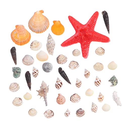 OUNONA Strandmuscheln Mit Meeresschnecken Für DIY Handwerk Und Mikrolandschaftsdekor Naturmaterial Für Aquarium Und Heimdekoration von OUNONA