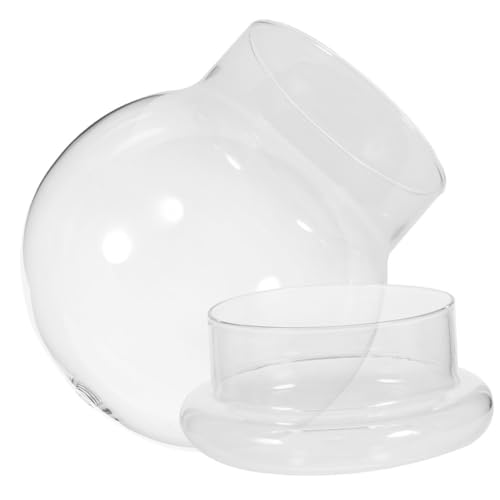 OUNONA Terrarium Flasche mit Kuppel Dom für DIY Mikro Landschaften für Wohnräume Cafés Langlebig und Leicht zu Reinigen OUNONA Terrarium Flasche mit Kuppel Dom für DIY Mikro Landschaften für Wohnräume Cafés Langlebig und Leicht zu Reinigen von OUNONA