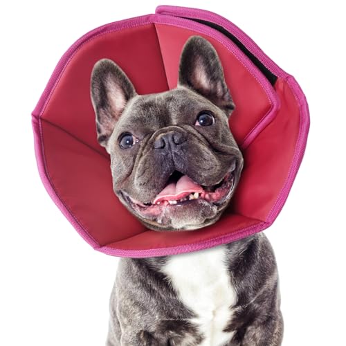 OUOBOB Hundekegelhalsband nach Operationen, weicher Hundekegel für mittelgroße Hunde, verstellbares Hunde-Genesungskegelhalsband, elisabethanisches Halsband für Hunde, Anti-Bissschutz, atmungsaktiver von OUOBOB