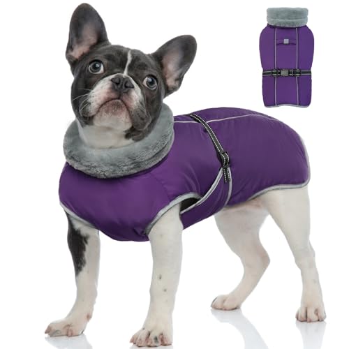 OUOBOB Hundemantel, Kleiner Hund Wintermantel, wasserdichte Hundejacke, Reflektierende warme Hund Schneemantel, Hund Clod Wetter Weste Bekleidung, Winddichte verstellbare Hund Schneeanzug Lila M von OUOBOB