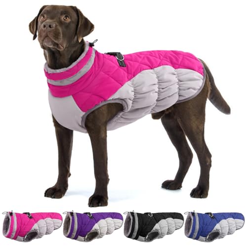 OUOBOB Hundemantel, warme Hundejacken, Hundemäntel mit integriertem Geschirr, wasserdichte Hunde-Fleeceweste, reflektierender Hunde-Schneeanzug für kaltes Wetter, winddichtes Hunde-Schneejacken-Outfit OUOBOB Hundemantel, warme Hundejacken, Hundemäntel mit integriertem Geschirr, wasserdichte Hunde-Fleeceweste, reflektierender Hunde-Schneeanzug für kaltes Wetter, winddichtes Hunde-Schneejacken-Outfit von OUOBOB