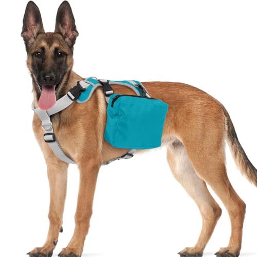 OUOBOB Hunderucksack für mittelgroße und große Hunde, Taktischer Hunderucksack Geschirr, Hunderucksack Trägerweste mit Seitentaschen für Wandern, Camping, Reisen, Deutscher Schäferhund, Labrador (Blau OUOBOB Hunderucksack für mittelgroße und große Hunde, Taktischer Hunderucksack Geschirr, Hunderucksack Trägerweste mit Seitentaschen für Wandern, Camping, Reisen, Deutscher Schäferhund, Labrador (Blau von OUOBOB