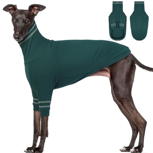 OUOBOB Greyhound Hundepullover, Italienischer Windhund Mantel für große Hunde, Whippet Pullover Turtleneck Stretchy Knit Sweatshirt, Greyhound Pyjamas Windhunde Jumpsuit für kaltes Wetter XXL OUOBOB Greyhound Hundepullover, Italienischer Windhund Mantel für große Hunde, Whippet Pullover Turtleneck Stretchy Knit Sweatshirt, Greyhound Pyjamas Windhunde Jumpsuit für kaltes Wetter XXL von OUOBOB