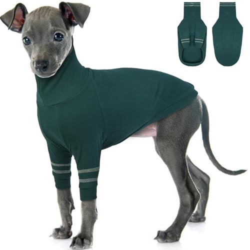 OUOBOB Greyhound Hundepullover, Italienischer Windhund Mantel für kleine Hunde, Whippet Pullover Turtleneck Stretchy Knit Sweatshirt, Greyhound Pyjamas Windhunde Jumpsuit für kaltes Wetter XS OUOBOB Greyhound Hundepullover, Italienischer Windhund Mantel für kleine Hunde, Whippet Pullover Turtleneck Stretchy Knit Sweatshirt, Greyhound Pyjamas Windhunde Jumpsuit für kaltes Wetter XS von OUOBOB