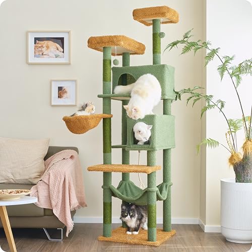Ouritsu XLF001GB Kratzbaum für große Katzen im Innenbereich, Katzenhütte mit 2 verbreiterten Sitzstangen, 2 großen Höhlen, 5 mit Sisal überzogenen Kratzbäumen, 2 Hängematten, Kaktusgrün Ouritsu XLF001GB Kratzbaum für große Katzen im Innenbereich, Katzenhütte mit 2 verbreiterten Sitzstangen, 2 großen Höhlen, 5 mit Sisal überzogenen Kratzbäumen, 2 Hängematten, Kaktusgrün von OURITSU