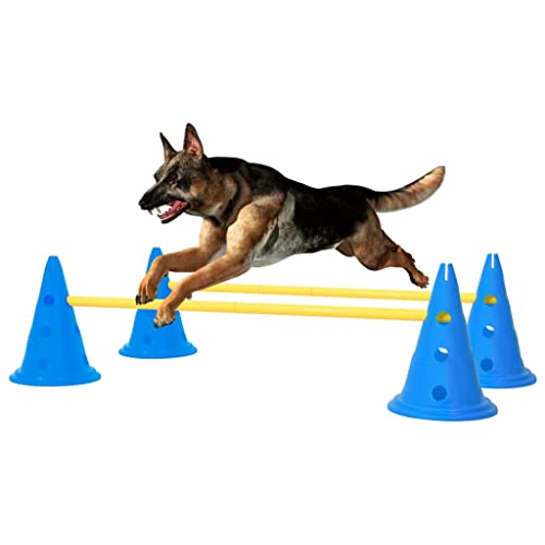 OUSEE Aktivitäts-Hindernis-Set für Hunde Blau und Gelb Blau von OUSEE