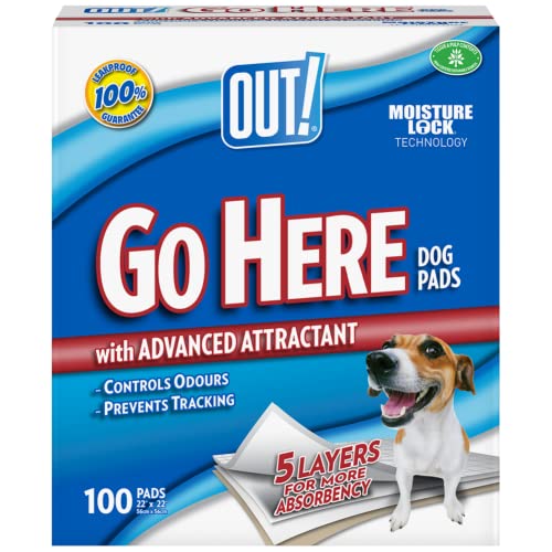 OUT! Go Here Ultra saugfähige Training Pads - 100 Stück von OUT!