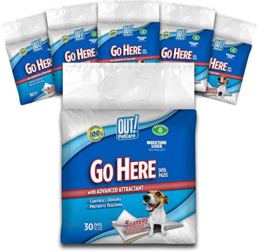 OUT! Go Here Ultra saugfähige Training Pads - 180 Stück von OUT!