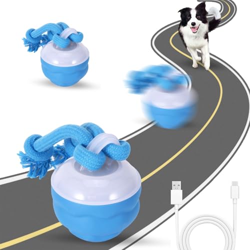 OUZHOU Interaktives Hundespielzeug, Hundebälle mit Bewegungsaktivierung, vibrierender Hundeball, lustig, beweglich, intelligenter aktiver Rollball, um sie zu beschäftigen, wiederaufladbarer OUZHOU Interaktives Hundespielzeug, Hundebälle mit Bewegungsaktivierung, vibrierender Hundeball, lustig, beweglich, intelligenter aktiver Rollball, um sie zu beschäftigen, wiederaufladbarer von OUZHOU