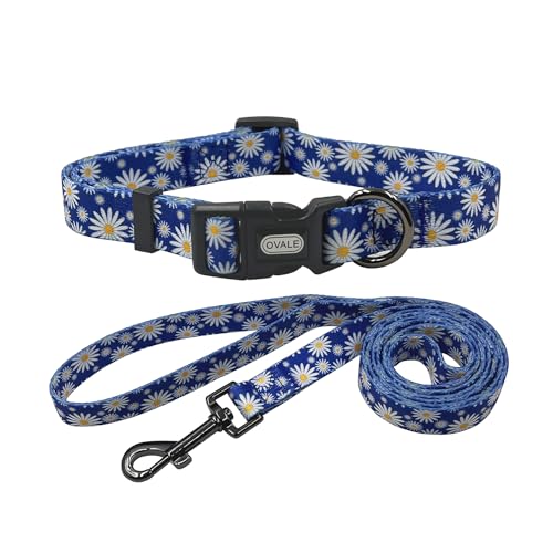 Ovale Hundehalsband, Leine, Kombi-Set, Gänseblümchen-Muster, Halsband und 1,52 m passende Leine, für kleine Hunde (Größe S, Blaues Gänseblümchen) von OVALE