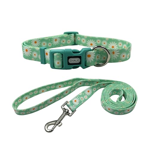 Ovale Hundehalsband, Leine, Kombi-Set, Gänseblümchen-Muster, Halsband und 1,52 m passende Leine, für kleine Hunde (Größe S, Hellgrünes Gänseblümchen) von OVALE
