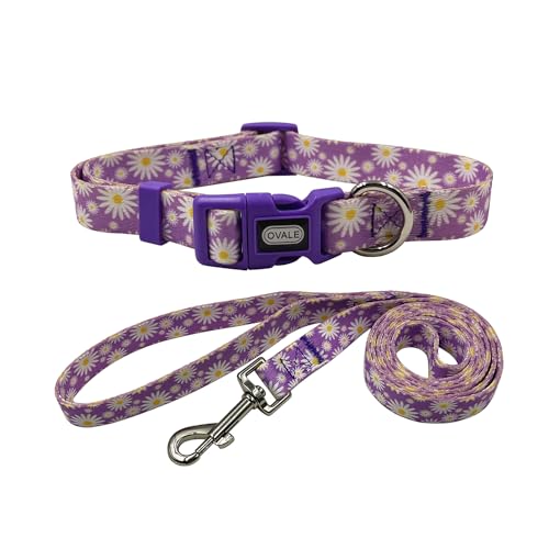 Ovale Hundehalsband, Leine, Kombi-Set, Gänseblümchen-Muster, Halsband und 1,52 m passende Leine, für kleine Hunde (Größe S, Hellviolett) von OVALE