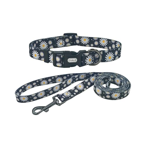 Ovale Hundehalsband, Leine, Kombi-Set, Gänseblümchen-Muster, Halsband und 1,52 m passende Leine, für kleine Hunde (Größe S, Schwarz mit Gänseblümchen) von OVALE