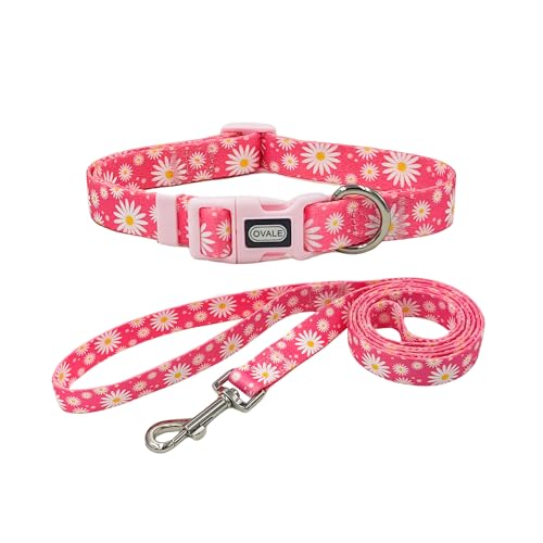 Ovale Hundehalsband-Leinen-Kombi-Set, Gänseblümchen-Blumenmuster, Halsband und 1,5 m passende Leine, für mittelgroße Hunde (Größe M, rosa Gänseblümchen) von OVALE