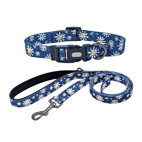 Ovale Hundehalsband-Leinen-Kombi-Set, Nylon mit Gänseblümchenmuster, Halsband und 1,5 m passender Leine, für kleine Hunde (Größe S, Blaues Gänseblümchen) von OVALE