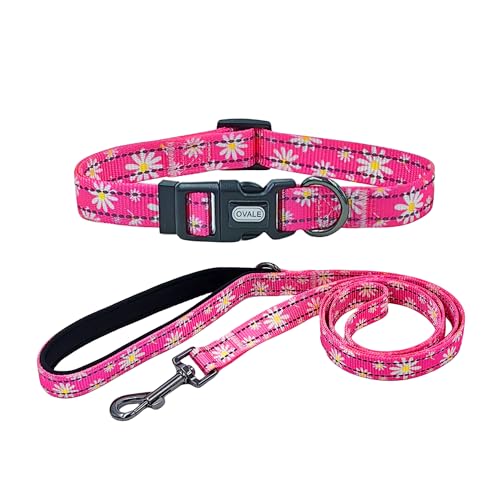 Ovale Hundehalsband-Leinen-Kombi-Set, Nylon mit Gänseblümchenmuster, Halsband und 1,5 m passender Leine, für mittelgroße Hunde (Größe M, rosa Gänseblümchen) von OVALE