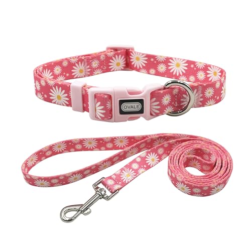 Ovale Hundehalsband-Set mit Leine, Gänseblümchen-Muster, Halsband und 1,52 m passende Leine, für mittelgroße Hunde (Größe M, Hellrosa Gänseblümchen) von OVALE