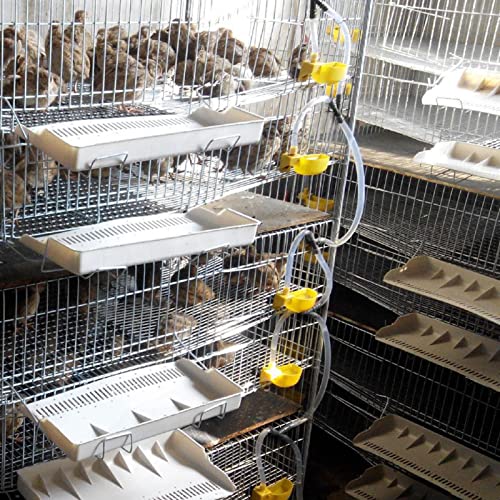 12-pcs Wachtel Wasserer-Feeder-Trinkbecher, Langlebiges Material Hang-on Design Multifunktional Einfacher Installation und Effizientes Perfektes für Verschiedene Vögel, von OVAQUIXI