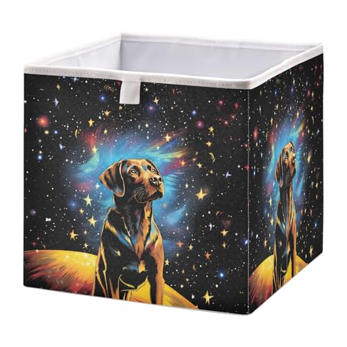OWFKAY Faltbarer Aufbewahrungswürfel, schwarzer Hund in buntem Sternennacht, Organizer für Zuhause, Regal OWFKAY Faltbarer Aufbewahrungswürfel, schwarzer Hund in buntem Sternennacht, Organizer für Zuhause, Regal von OWFKAY