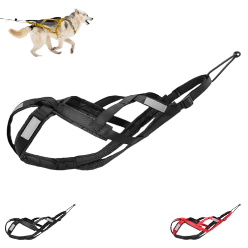Hundegeschirr mit Gewichtsbeschränkung, Schlittengeschirr mit Gewichtsbeschränkung für Haustiere, geeignet für Hundeschlittenfahren, Rollerfahren, Fahrradfahren, Skifahren, Laufen, Wandern und andere Hundegeschirr mit Gewichtsbeschränkung, Schlittengeschirr mit Gewichtsbeschränkung für Haustiere, geeignet für Hundeschlittenfahren, Rollerfahren, Fahrradfahren, Skifahren, Laufen, Wandern und andere von OWGHFZBV