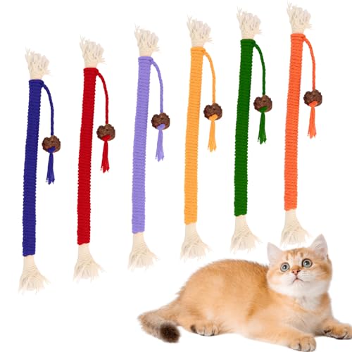 OWill 6 Stück Katzenminze Spielzeug,Katzenspielzeug Selbstbeschäftigung mit Katzenbeißseil,Interaktives Katzenspielzeug für Katzen Zahnpflege und Mundgeruch,Katzen zubehör Indoor von OWill