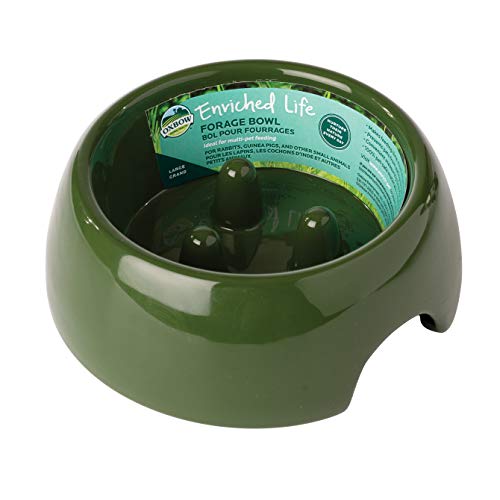 OXBOW Forage Bowl Large for Small Animals von OXBOW