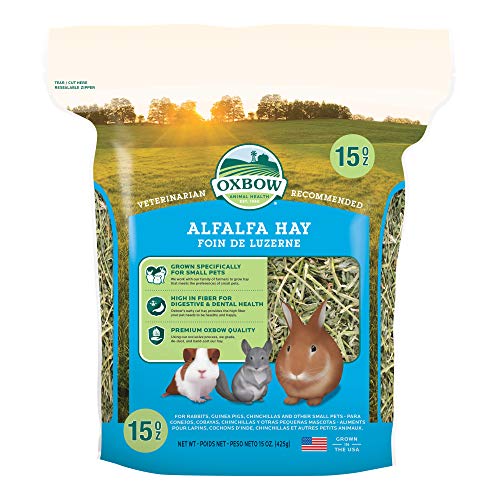 Oxbow Alfalfa Hay 425g von Petlife International