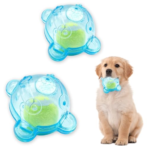 OYIWINMI Hundespielzeug zum Geburtstag, unzerstörbar, interaktives / Kau- / robustes Hundespielzeug, quietschende Tennisbälle für Hunde, geeignet für Outdoor-Spielen, Training (blau, rund) von OYIWINMI