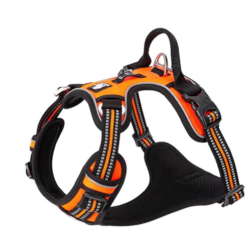 Hundegeschirr Ohne Ziehen, Reflektierende Hundeweste mit Clip Vorne und Weich Gepolstertem Vertikalem Griff, 3 Leinenbefestigungen für Kleine, Mittelgroße und Große Hunde,D-Small Hundegeschirr Ohne Ziehen, Reflektierende Hundeweste mit Clip Vorne und Weich Gepolstertem Vertikalem Griff, 3 Leinenbefestigungen für Kleine, Mittelgroße und Große Hunde,D-Small von OYWEHECE