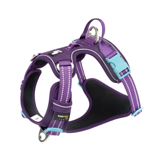 Hundegeschirr Ohne Ziehen, Reflektierende Hundeweste mit Clip Vorne und Weich Gepolstertem Vertikalem Griff, 3 Leinenbefestigungen für Kleine, Mittelgroße und Große Hunde,M-Medium von JBNCRYGD