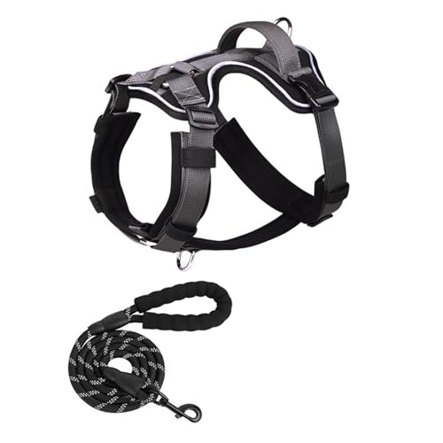 Pet Supply Haustiergeschirr Hundegeschirre Hundewestengeschirr Hundegeschirr mit Leine Haustierwestengeschirr Heimtierbedarf Seil Im Westenstil Haustierbedarf,A-Large Pet Supply Haustiergeschirr Hundegeschirre Hundewestengeschirr Hundegeschirr mit Leine Haustierwestengeschirr Heimtierbedarf Seil Im Westenstil Haustierbedarf,A-Large von OYWEHECE