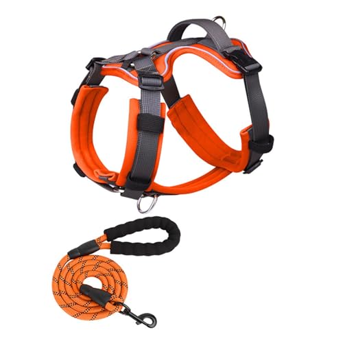 Pet Supply Haustiergeschirr Hundegeschirre Hundewestengeschirr Hundegeschirr mit Leine Haustierwestengeschirr Heimtierbedarf Seil Im Westenstil Haustierbedarf,C-Medium Pet Supply Haustiergeschirr Hundegeschirre Hundewestengeschirr Hundegeschirr mit Leine Haustierwestengeschirr Heimtierbedarf Seil Im Westenstil Haustierbedarf,C-Medium von OYWEHECE
