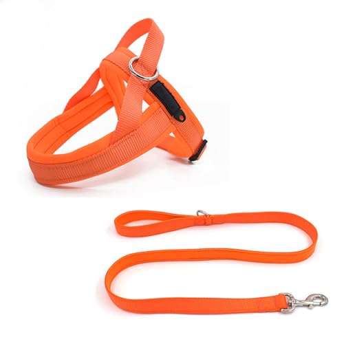 Step-in-Hundegeschirr und Leine-Set, Weiches Netzgewebe, Nicht Klemmend, Reflektierend, Atmungsaktiv, Leicht zu Begehen, Ausbruchsichere Westengeschirre mit,A-XSmall Step-in-Hundegeschirr und Leine-Set, Weiches Netzgewebe, Nicht Klemmend, Reflektierend, Atmungsaktiv, Leicht zu Begehen, Ausbruchsichere Westengeschirre mit,A-XSmall von JBNCRYGD